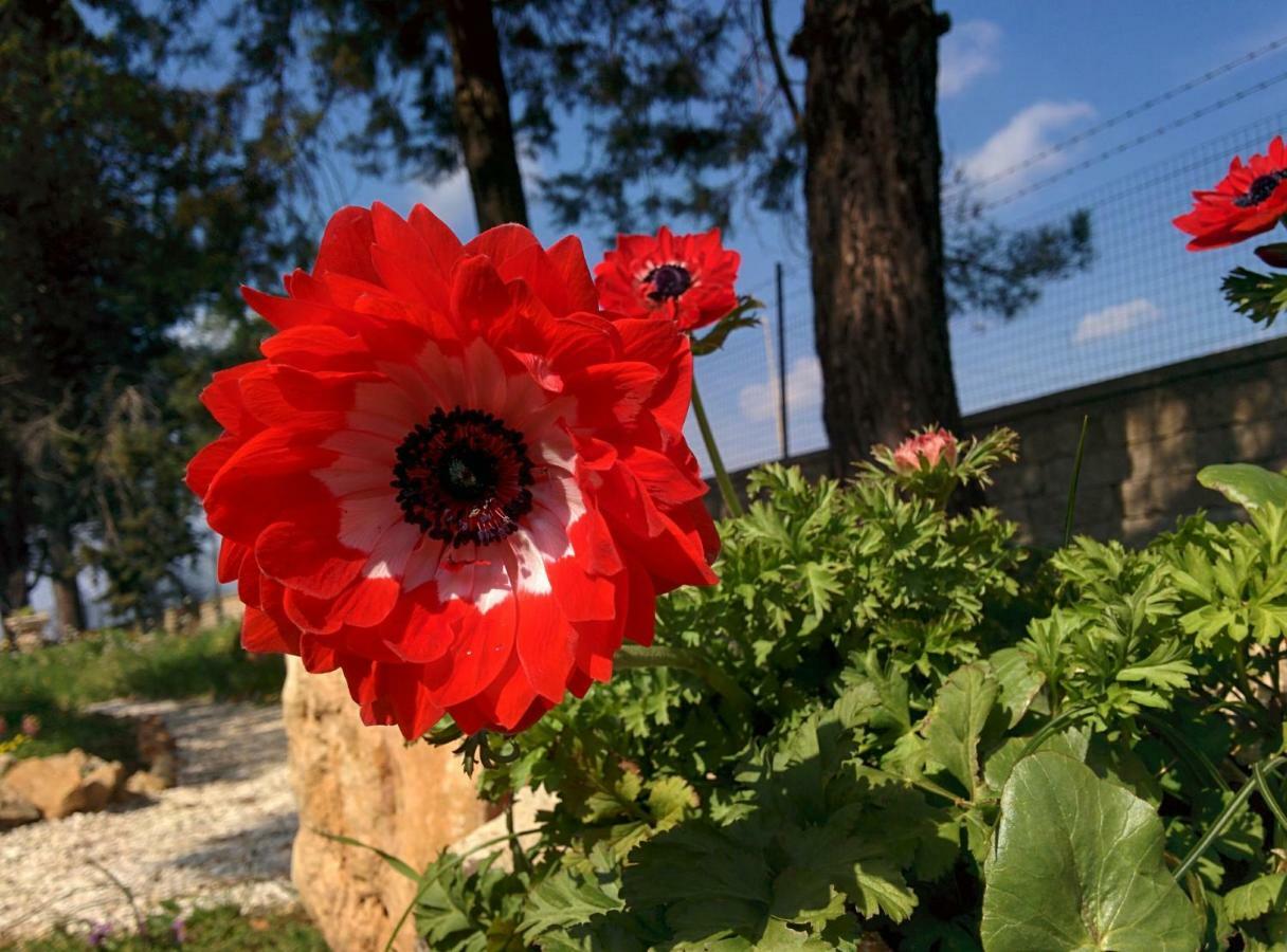 Villa 2 Fields Castellaneta Bagian luar foto